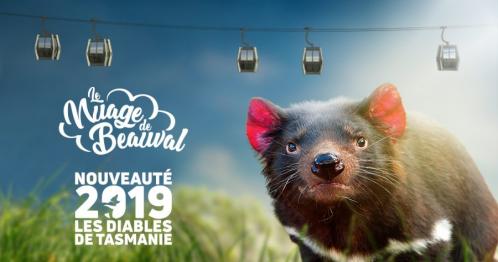 Nouveautés 2019