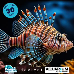 Aquarium de Touraines