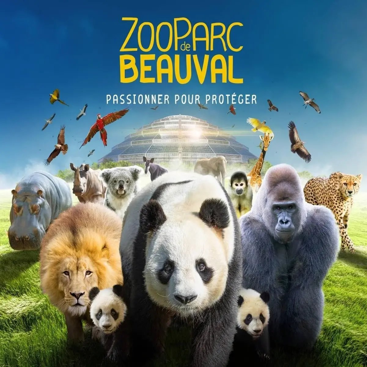 ZooParc de Beauval