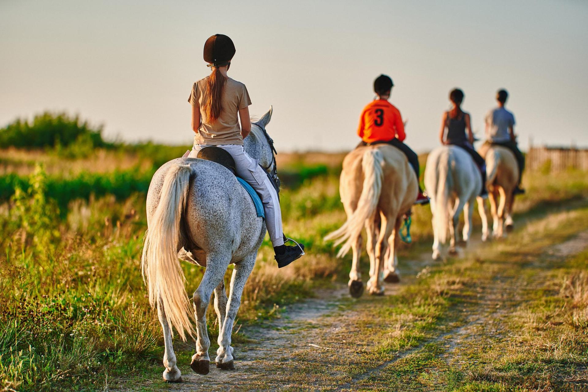 Équitation